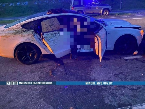 В Беларуси Audi A5 сбил лося на трассе М-3 – погибла пассажирка, пассажир в больнице В Беларуси Audi A5 сбил лося на трассе М-3 – погибла пассажирка, пассажир в больнице
