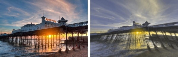 Разительная разница. Ученые показали, как видят мир люди и собаки