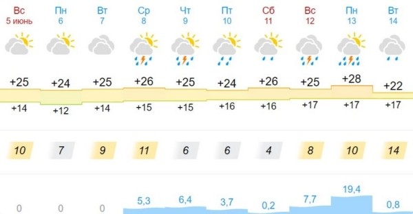 В Бресте до +32С! Синоптики объявили погодное предупреждение на четверг из-за жары