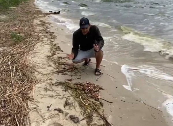 
                &laquo;Зрелище не для слабонервных&raquo;. Рыбак показал гиблых раков на озере Селец (Брестская область)
            