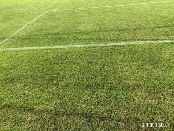 В футболе приняли важное нововведение — официально разрешено проводить пять замен В футболе приняли важное нововведение — официально разрешено проводить пять замен