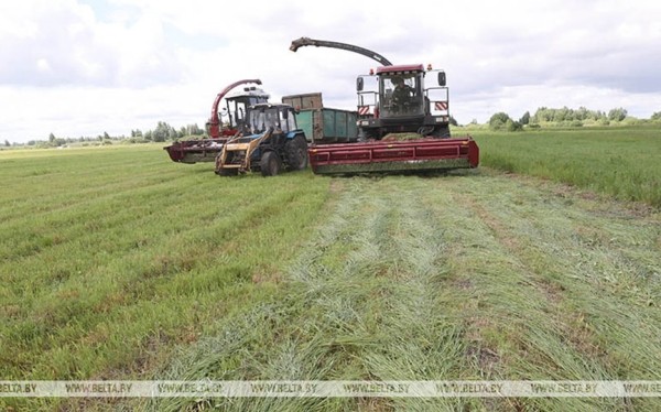 План по первому укосу трав выполнили в Брестской области