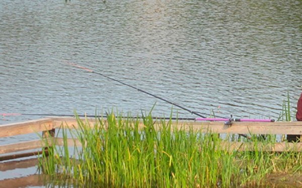 В Барановичском районе пройдут соревнования по ловле рыбы на поплавочную удочку В Барановичском районе пройдут соревнования по ловле рыбы на поплавочную удочку