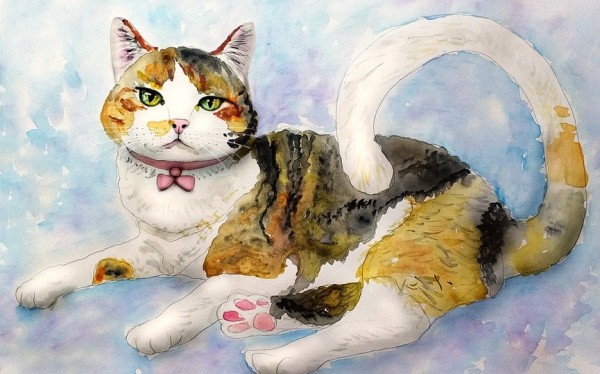 В Барановичах создают галерею кошек. Поучаствуйте и получите приз