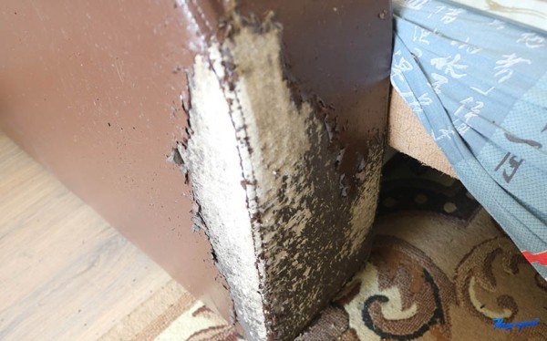 «Добили новую квартиру!»: на Боровках выселили должников, пока их не было дома