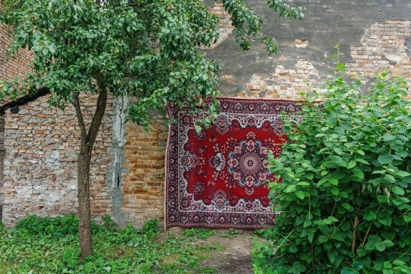 Фотографии сделаны в Бресте. Узнали место?
Фотографии сделаны в Бресте. Узнали место?