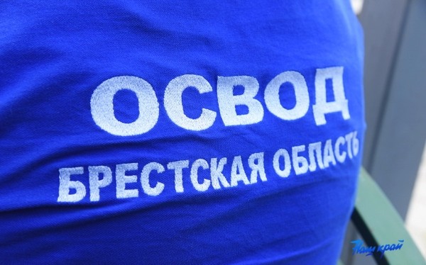 Несовершеннолетнюю жительницу Ляховичей спасли на реке