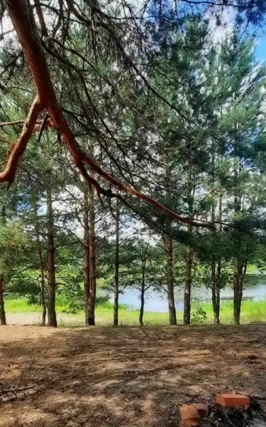 Товарищескую встречу с коллективом Бобруйских тепловых сетей провели работники предприятия «Барановичи коммунтеплосеть»