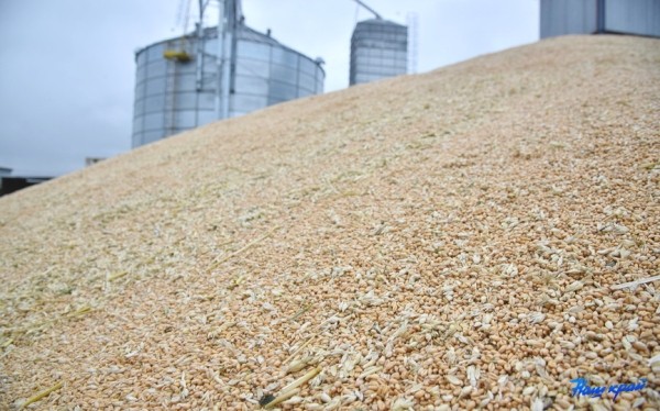 В Барановичском районе чествовали первых водителей-тысячников на уборке урожая В Барановичском районе чествовали первых водителей-тысячников на уборке урожая