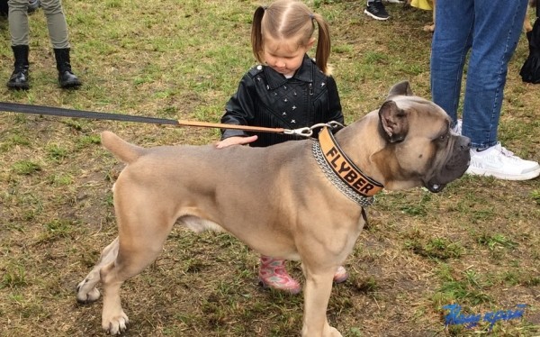 Впервые в Барановичах состоялась ZOO-вечеринка Впервые в Барановичах состоялась ZOO-вечеринка