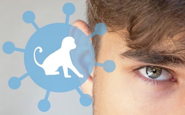 Врач-эпидемиолог рассказала, кто может иметь иммунитет к обезьяньей оспе