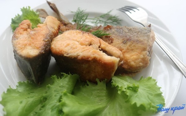 Врачи назвали три наиболее полезных для здоровья вида рыбы Врачи назвали три наиболее полезных для здоровья вида рыбы