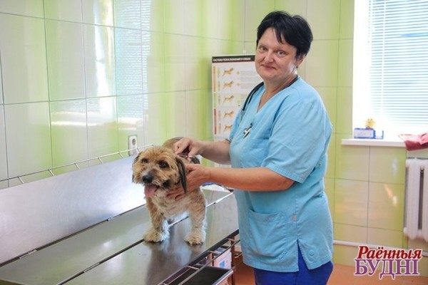 Врач из Брестской области рассказала о необычных пациентах ветклиники Врач из Брестской области рассказала о необычных пациентах ветклиники
