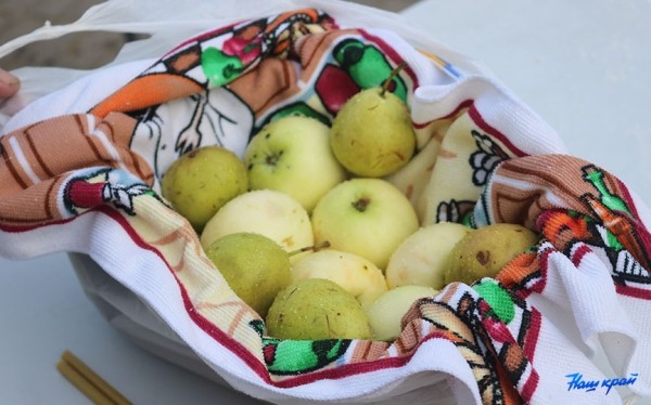 Фоторепортаж. Яблочный спас в Барановичах