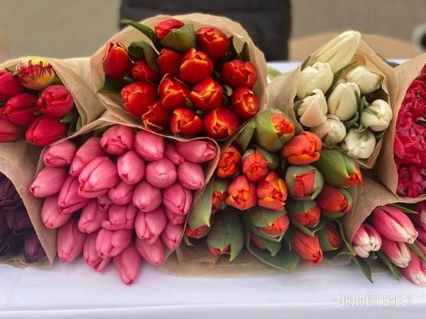 Около 11 млн тюльпанов в год выращивают в Ивановском районе Около 11 млн тюльпанов в год выращивают в Ивановском районе