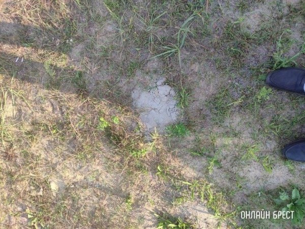 Читатель: Хочу заострить внимание на такой проблеме
             
                Читатель: Хочу заострить внимание на такой проблеме