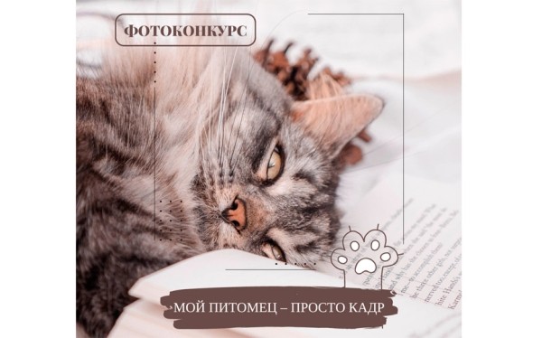 «Мой питомец – просто кадр»: библиотека Барановичей проводит фотоконкурс «Мой питомец – просто кадр»: библиотека Барановичей проводит фотоконкурс