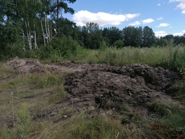 Мужчина решил сам благоустроить дорогу общего пользования в дачном поселке. «Меценатство» обернулось штрафом