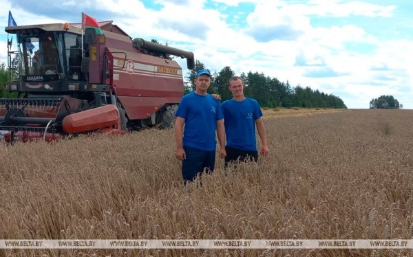 Аграрии Брестской области намолотили 1 млн тонн зерна