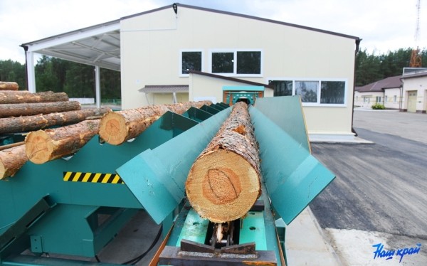 Александр Лукашенко поменял правила реализации древесины. Физлица смогут приобретать деловую древесину в лесхозах