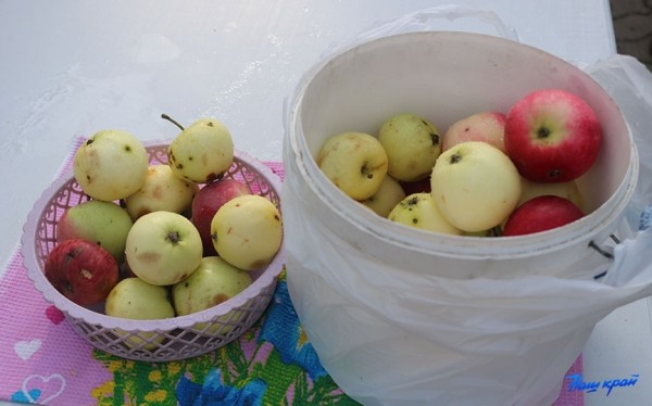 Фоторепортаж. Яблочный спас в Барановичах