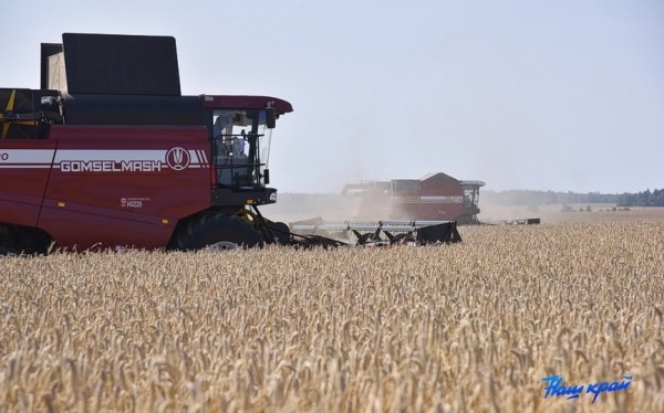 Белорусские аграрии намолотили 5 млн тонн зерна
