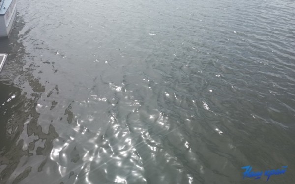 Четверо несовершеннолетних отдыхали у реки Днепр. Один подросток утонул