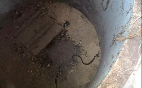 Достали собаку из колодца, отловили змей и летучих мышей за одни сутки спасатели Брестчины Достали собаку из колодца, отловили змей и летучих мышей за одни сутки спасатели Брестчины