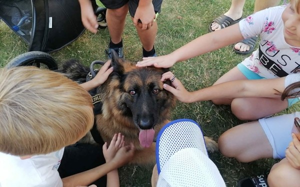 Фоторепортаж. На шести площадках в Барановичах прошли «Дворовые игры»