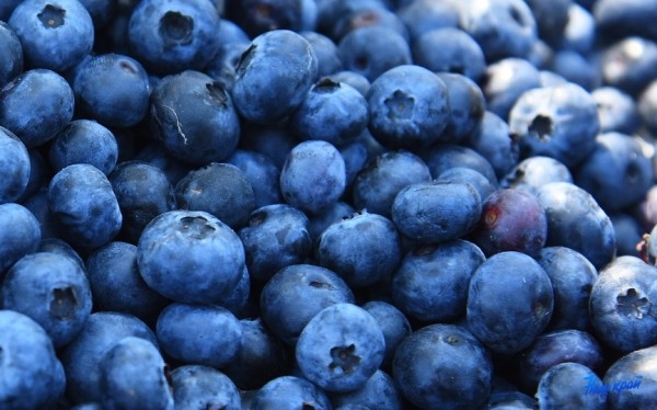  От 30 копеек за кило: узнали, что принимают в Барановичском регионе в августе