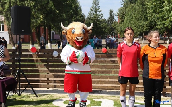 В Барановичском районе открыли футбольное поле с искусственным покрытием В Барановичском районе открыли футбольное поле с искусственным покрытием