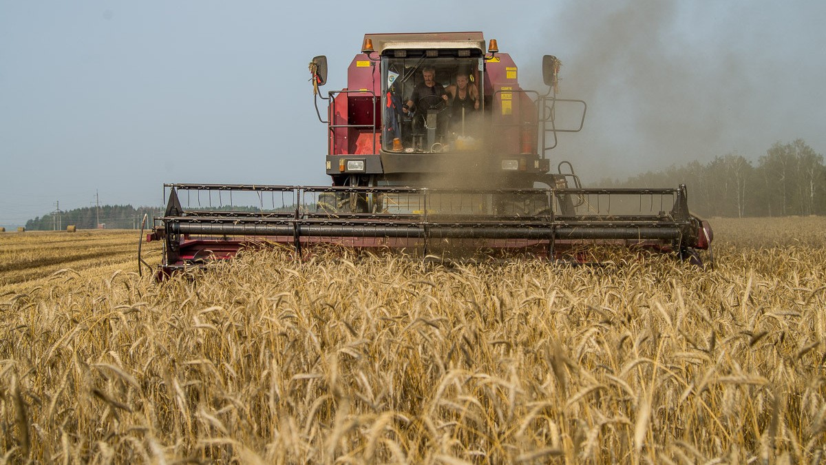 «Мобилизуйте всех». Лукашенко распорядился мобилизировать школьников и студентов