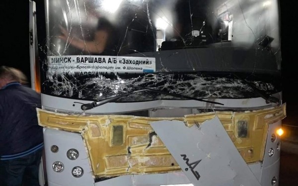 В Брестской области пассажирский автобус столкнулся с лосем