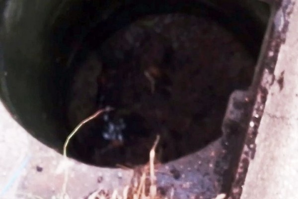 В Польше белорус при проверке фуры выбросил «улику» в люк канализации