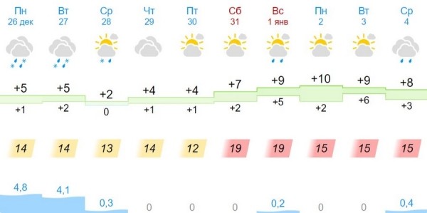 Какая погода ждет брестчан на Новый год