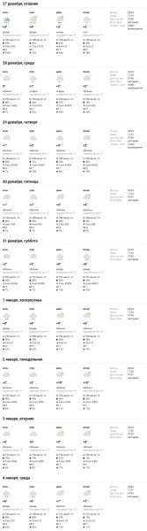 Какая погода ждет брестчан на Новый год