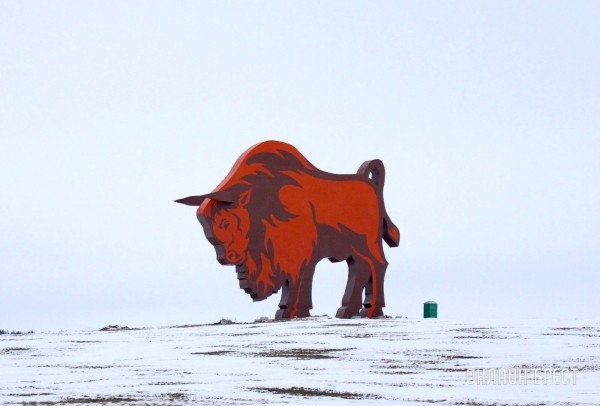 Красиво! Посмотрите, как выглядит зубр у трассы М1 после реставрации