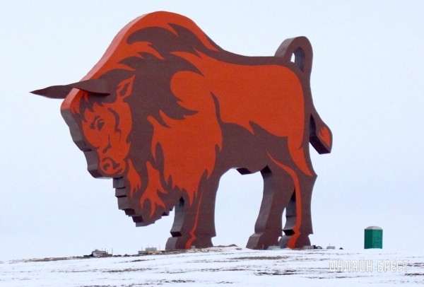 Красиво! Посмотрите, как выглядит зубр у трассы М1 после реставрации