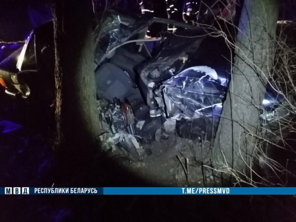 Ночью в Кобринском районе 18-летний водитель Audi врезался в дерево - погиб пассажир