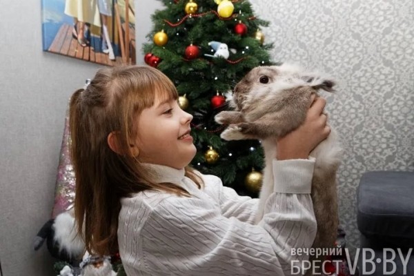 Самый «козырный» Тузик. Талисманом Бреста стал львиноголовый голландец. Знакомимся поближе!