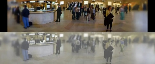 Так видят коты