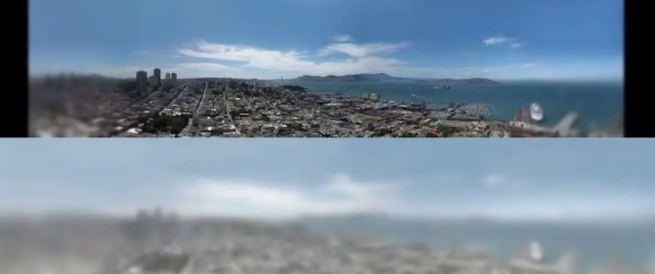 Так видят коты