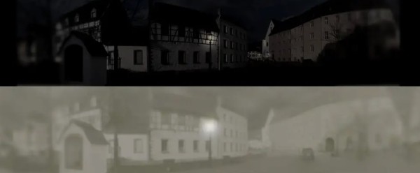 Так видят коты