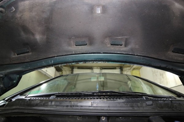 «Если отвезти машину на детейлинг, будет совсем лялечка!» Белорус о VW Sharan, который 13 лет находится в одних руках «Если отвезти машину на детейлинг, будет совсем лялечка!» Белорус о VW Sharan, который 13 лет находится в одних руках