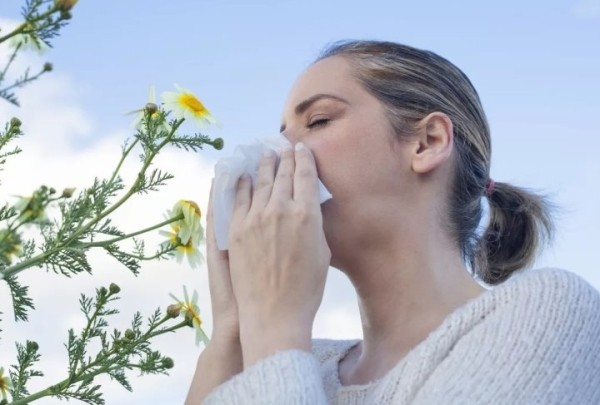 allergija-k-pylce-rastenij-kakie-simptomy-rasskazala-vrach-iz-bresta-10b5372