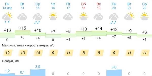 v-breste-i-oblasti-na-14-marta-objavlen-oranzhevyj-uroven-iz-za-silnogo-vetra-d9cf415