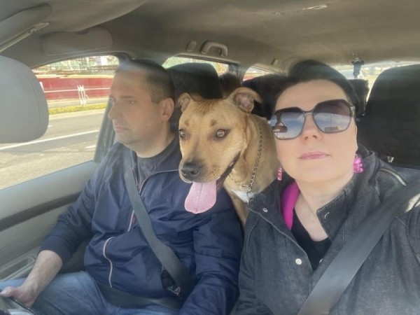 «Хороший корм стоит дорого, расходы приличные!». Белорусы о том, сколько тратят на содержание питомцев «Хороший корм стоит дорого, расходы приличные!». Белорусы о том, сколько тратят на содержание питомцев