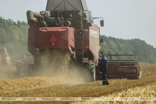 «Стараемся на деле проявлять заботу о людях», или Как в Кобринском районе начали жатву