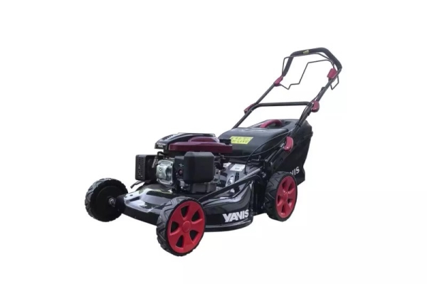 Таможня рассказала, сколько потянет растаможка, на примере газонокосилки Таможня рассказала, сколько потянет растаможка, на примере газонокосилки