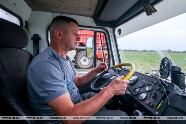 В Столинском районе идет уборка зеленого горошка